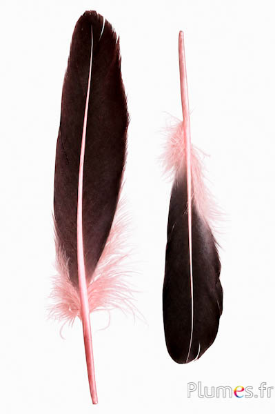 Ente - 18-20 cm, links und rechts - lachsrosa-schwarz